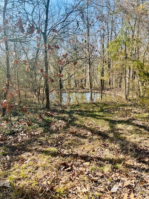 Sold $32,000 • Co-Listing Agent