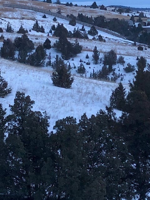 From road showing lot