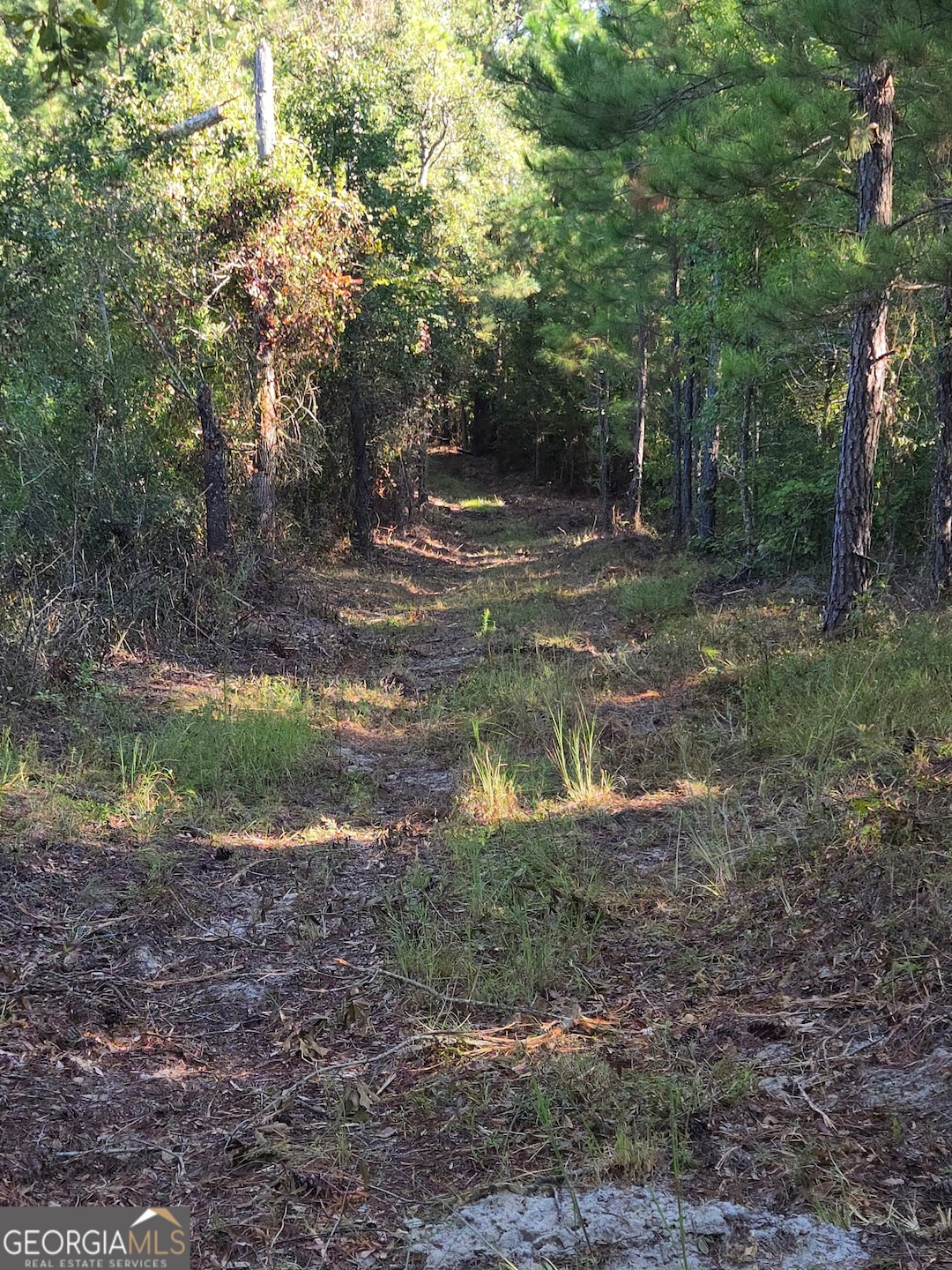 0 Alton Lawson Rd, Adrian, GA 31002 - photo 1