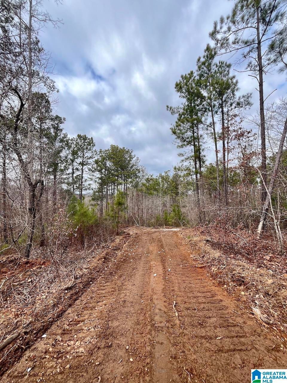 0 County Road 33 unit 21415403, Wedowee, AL 36278 - photo 1