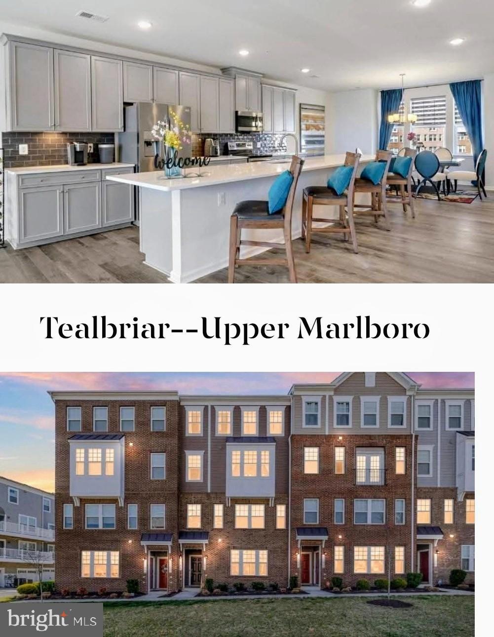 9741 Tealbriar Dr unit 250, Upper Marlboro, MD 20772 - photo 1