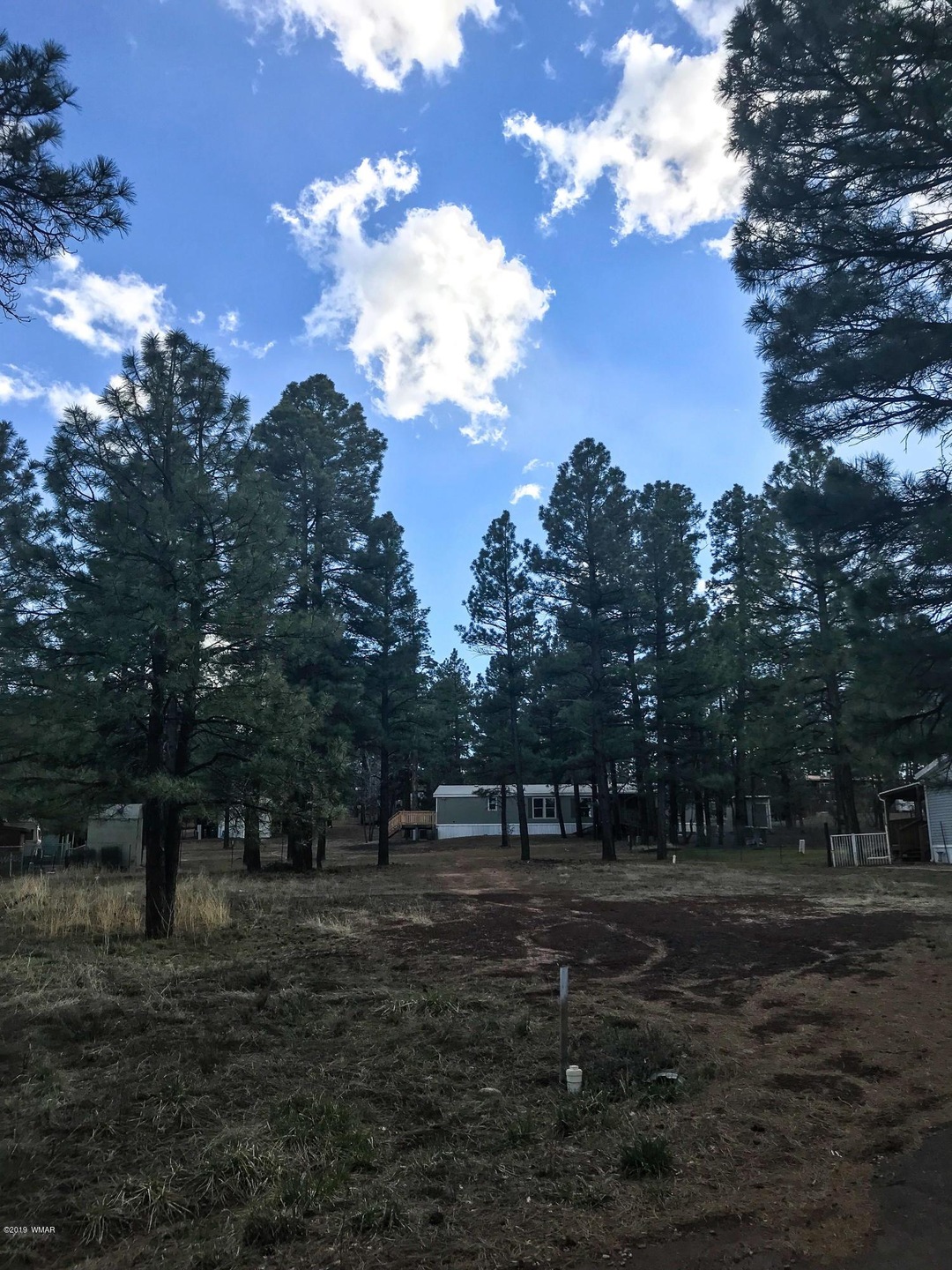 2430 W Sylvester Dr, Show Low, AZ 85901 - photo 1