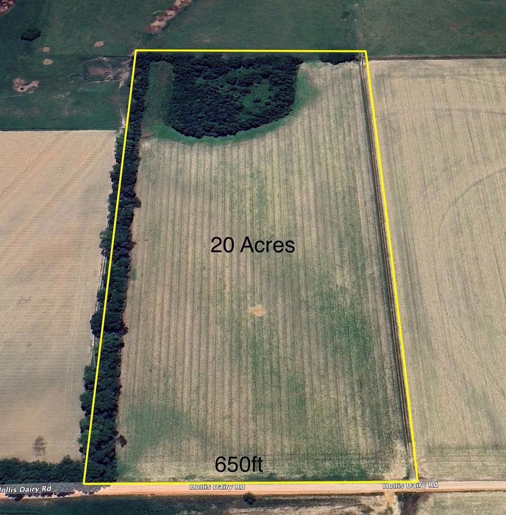 20 Acres Hollis Dairy Rd, Wicksburg, AL 36352 MLS 193967