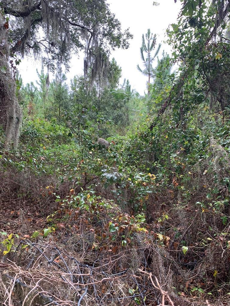 1235 Cannon Rd, Moultrie, GA 31788 - photo 1