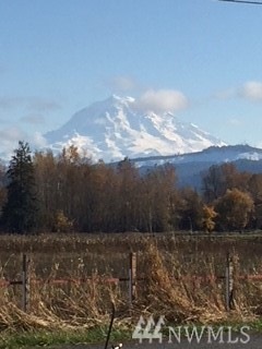 17015 150th Ave E, Orting, WA 98360 - photo 1