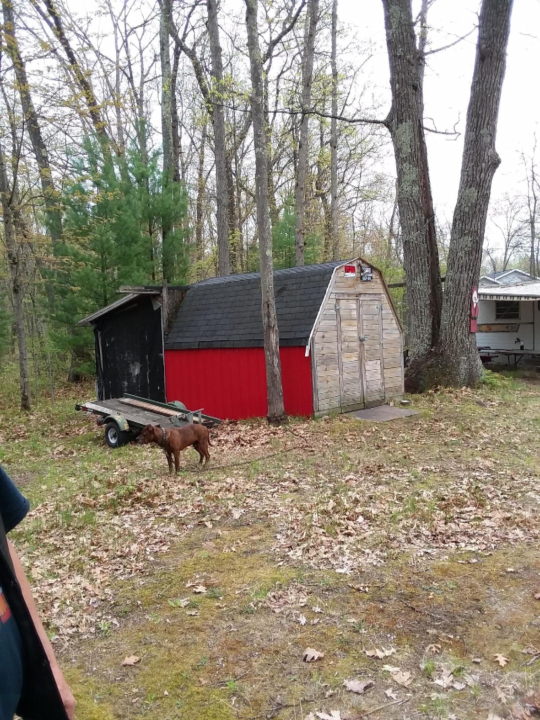 2518 W Oakwood Blvd, Merrill Township, MI 49309 - photo 1