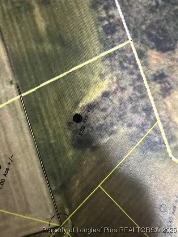 9.02 acres Buie - Philadelphus Rd, Red Springs, NC 28377 - photo 1