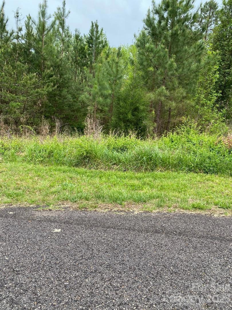 134 River Bank Rd, Statesville, NC 28625 - photo 1