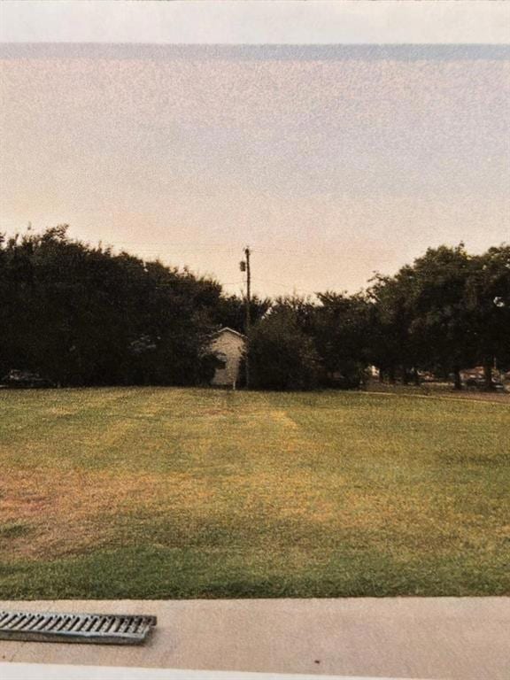 View of yard at dusk