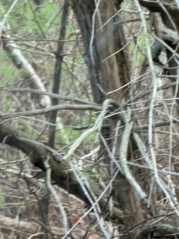 51 Holly Pond Rd, Marion, MA 02738 - photo 1