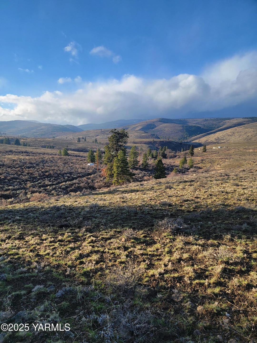 NKA Cowiche Mill Rd, Yakima, WA 98908 - photo 1