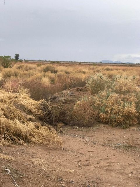 0000 W Hannah & Tweedy Dr, Eloy, AZ 85131 - photo 1
