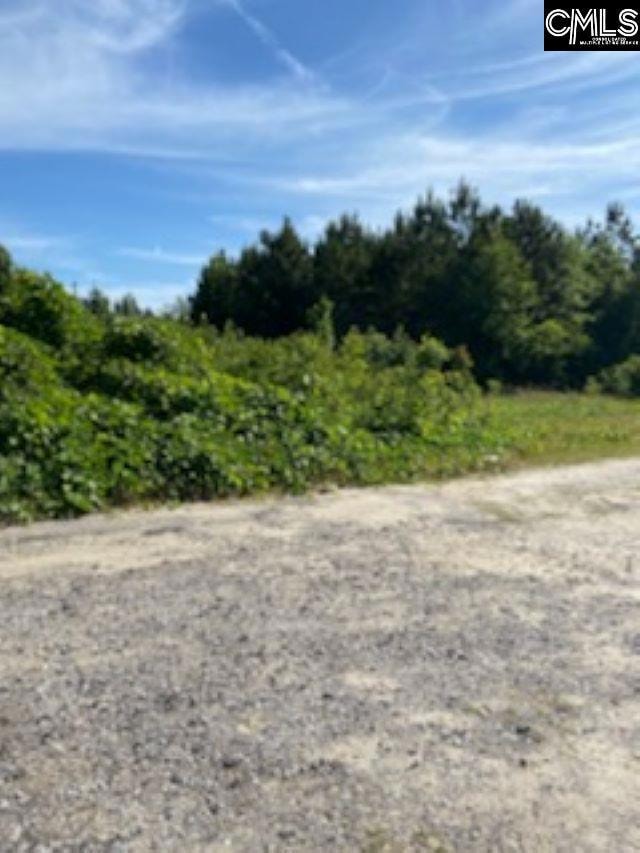 5314 Highway 321, Gaston, SC 29053 - photo 1