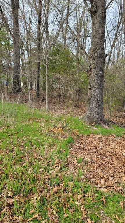 3 Minack Ln, Bella Vista, AR 72714 - photo 1