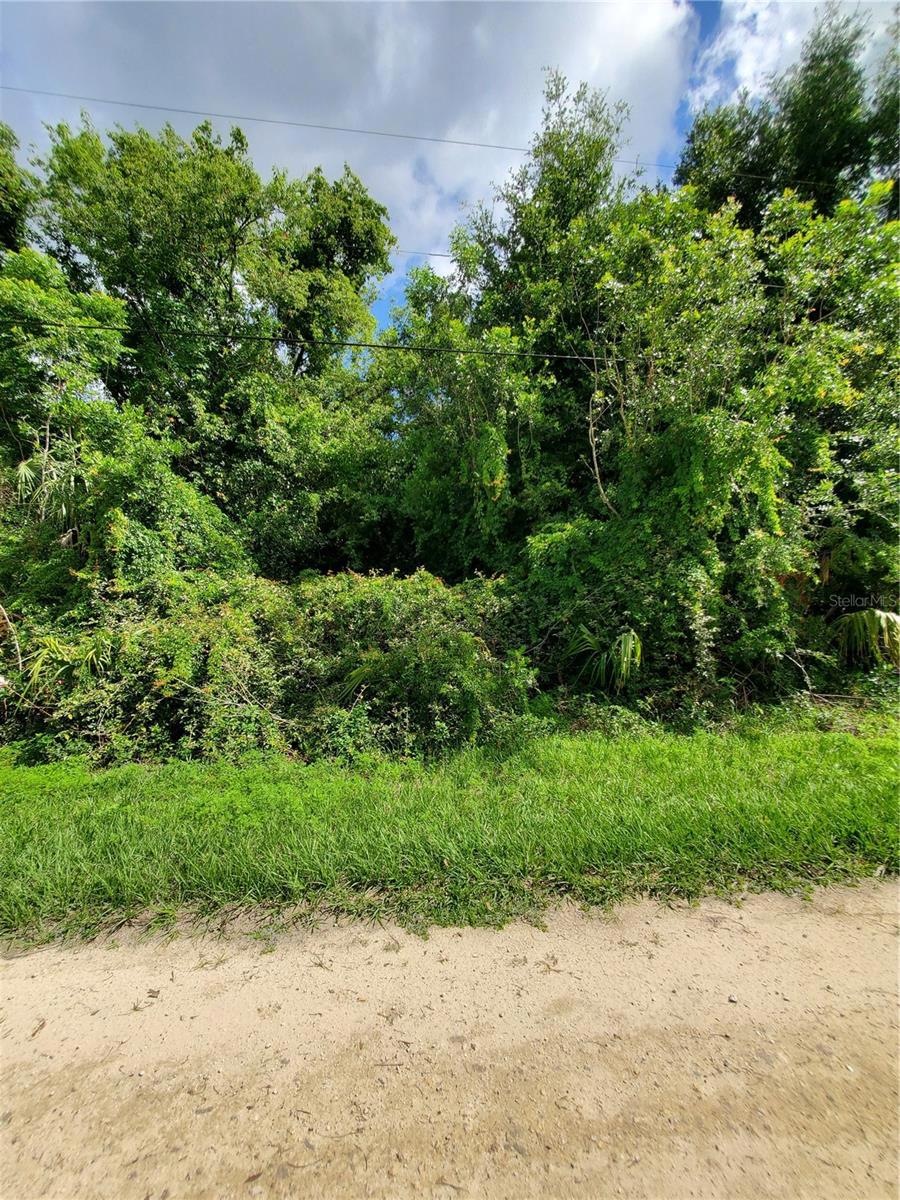 18785 SW 49th Place, Dunnellon, FL 34432 - photo 1