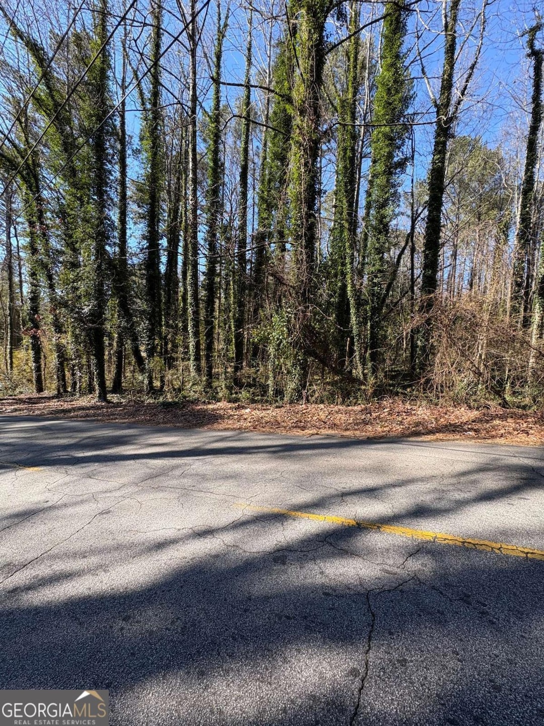 0 Willis Mill Rd SW unit 10444636, Atlanta, GA 30311 - photo 1