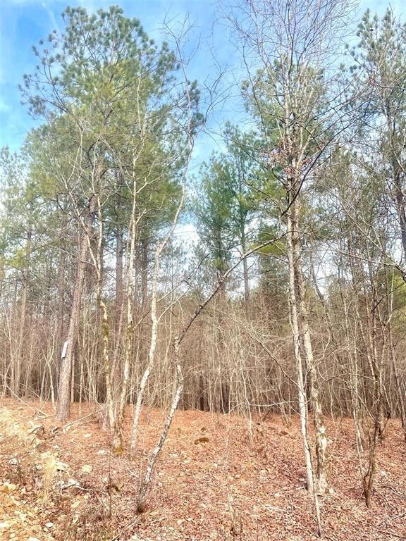 View of local wilderness