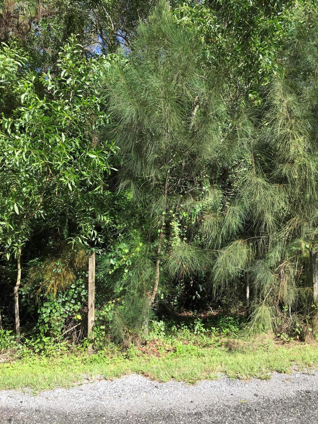 Sold $290,000 • Co-Listing Agent