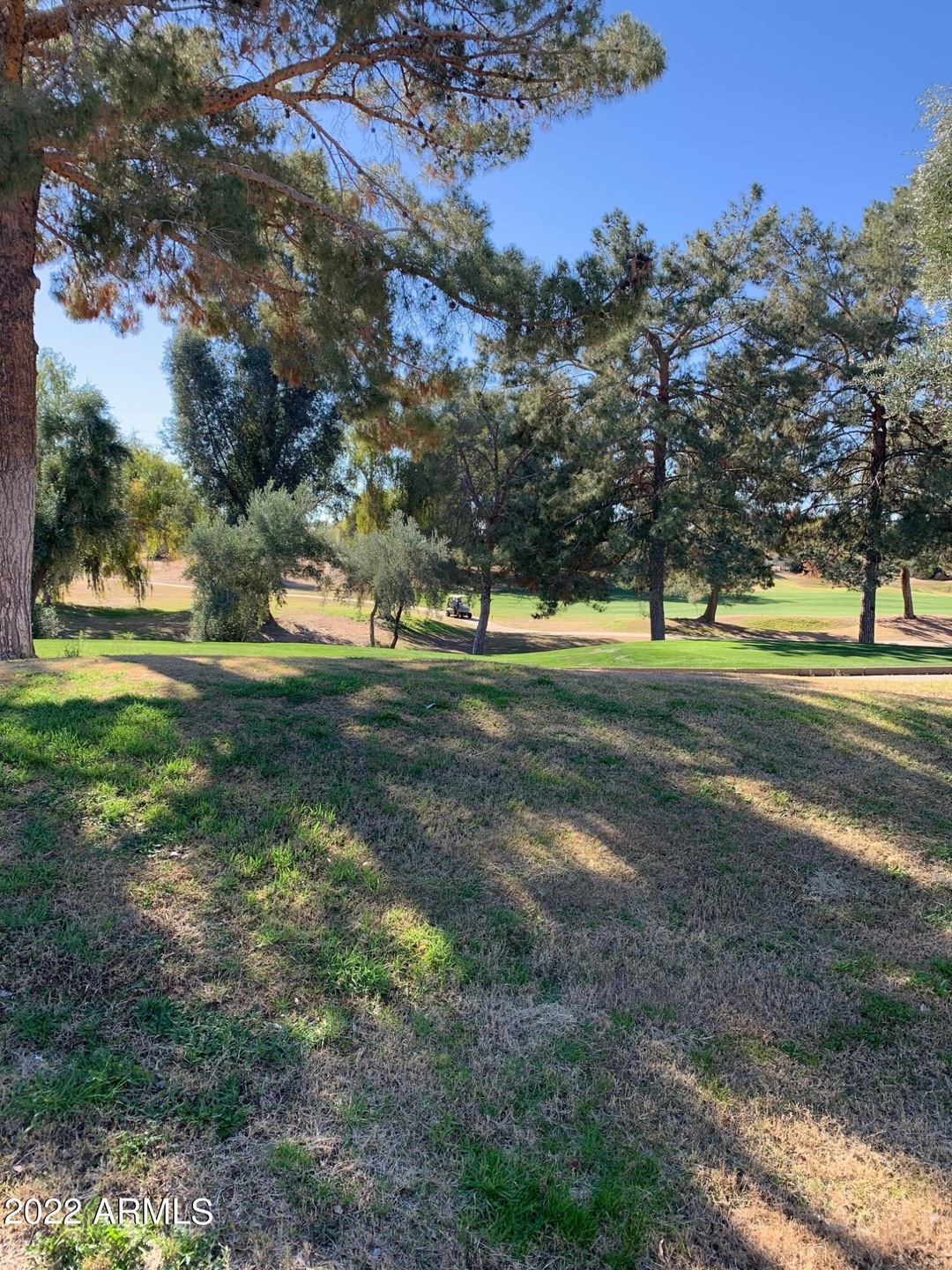 Golf course views