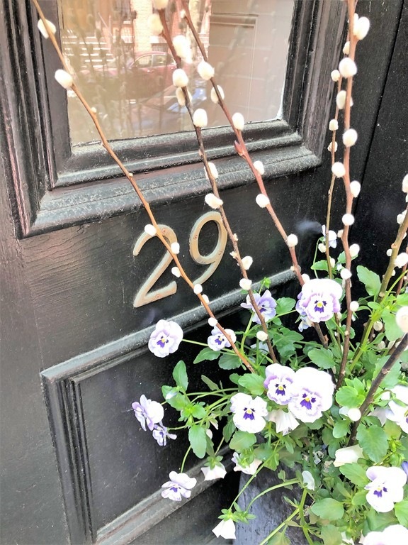 29 E Springfield St unit 4, Boston, MA 02118 - photo 1