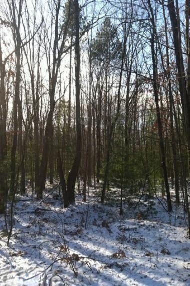 10 Cedar Rd, Lincoln Township, MI 48625 - photo 1