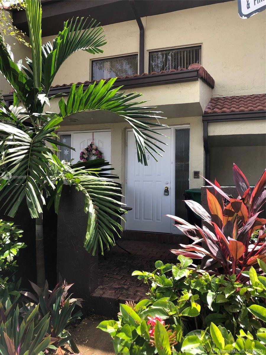 Front Steps & Door