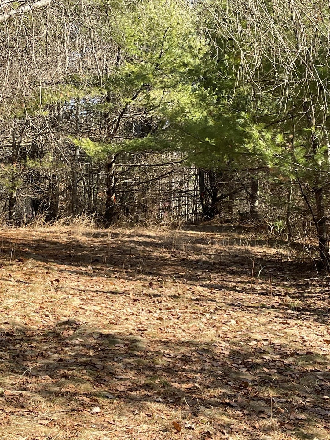 Lot 1, 2,3 Pownal Rd, Freeport, ME 04032 - photo 1