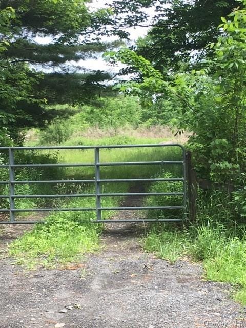 99 Youngs Ln, Bloomingburg, NY 12721 - photo 1