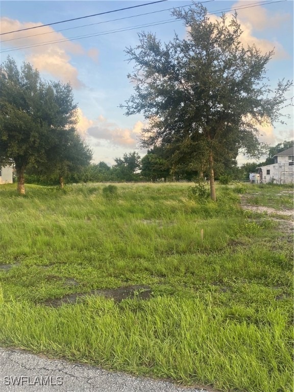View of yard at dusk