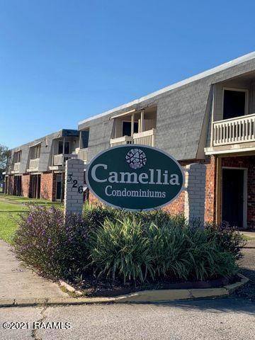 Camellia 1