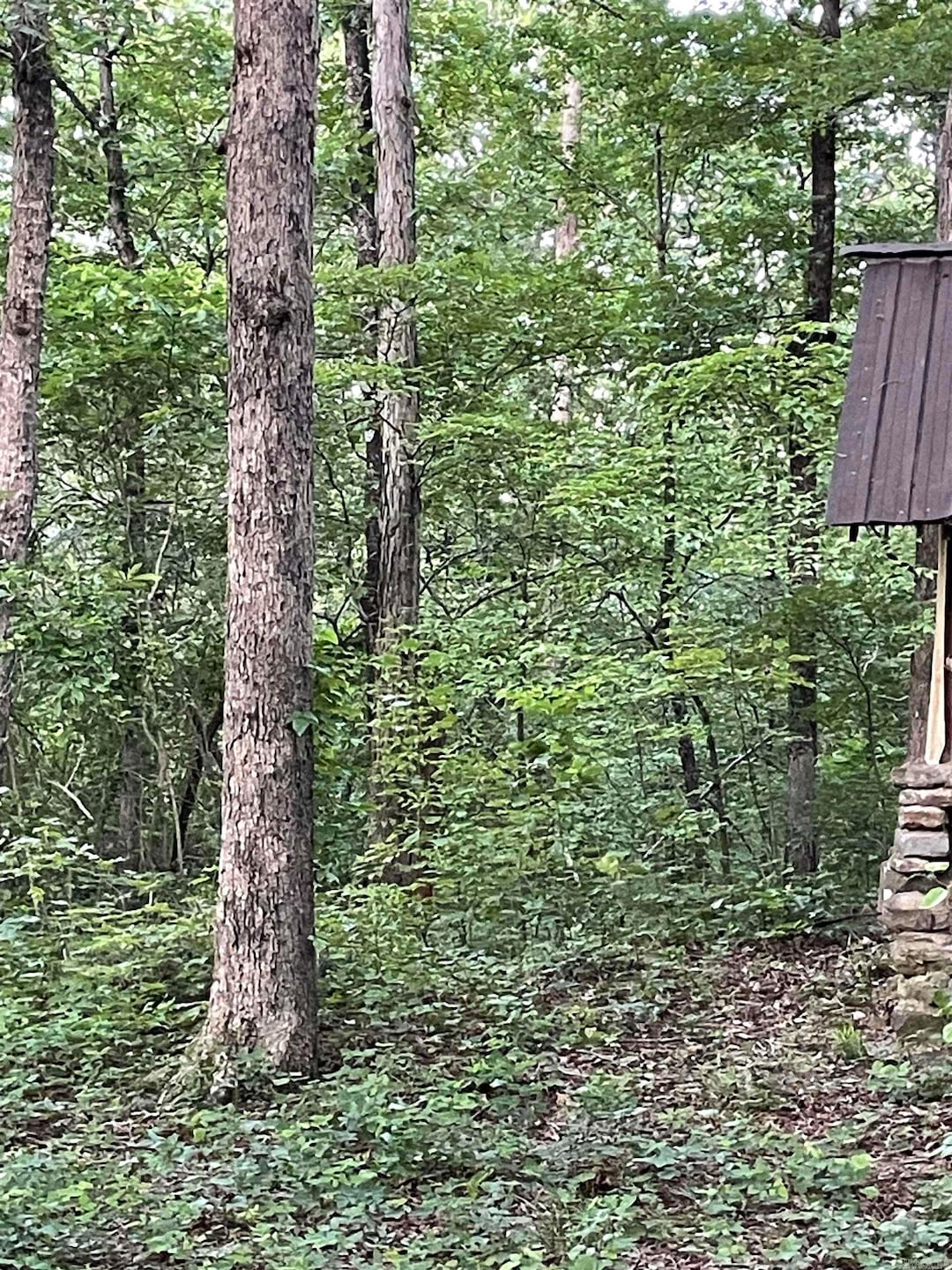 868 Watson Rd, Clinton, AR 72031 - photo 1