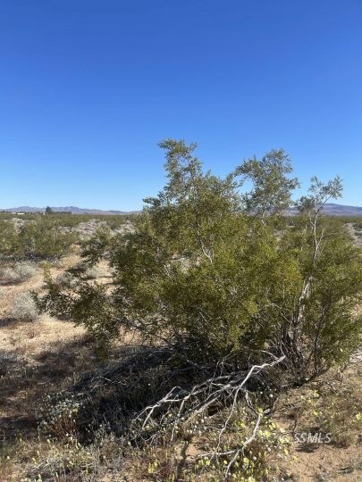 Red Rock Inyokern Rd 40 acres