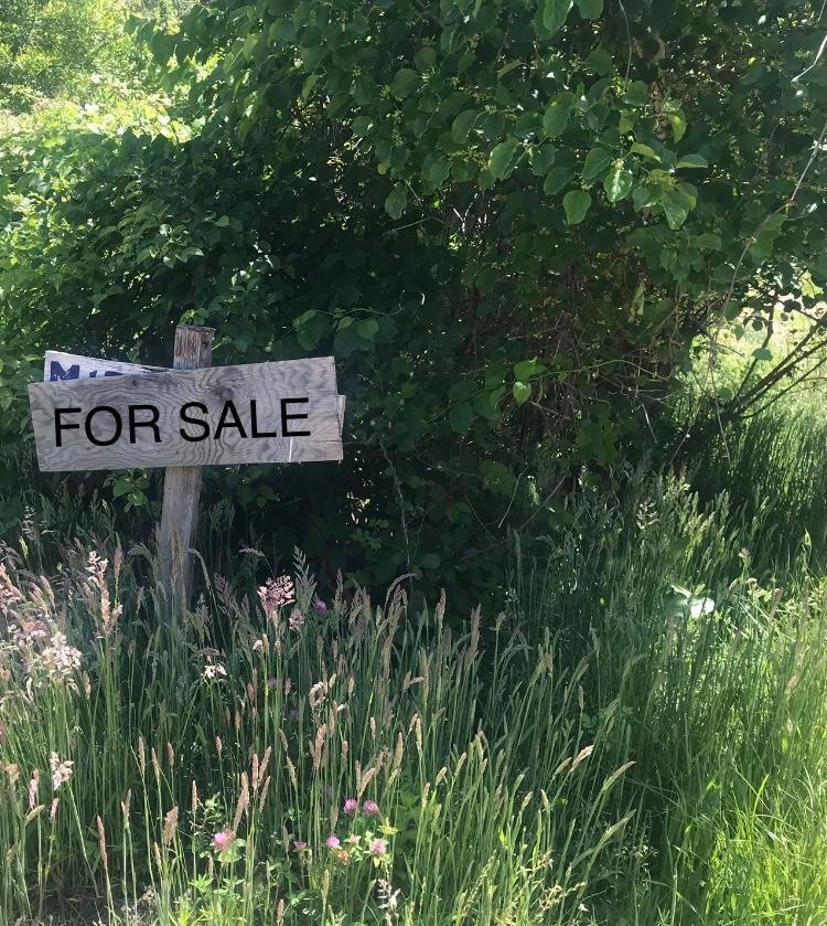 31 Twelfth St N, Edgartown, MA 02539 - photo 1