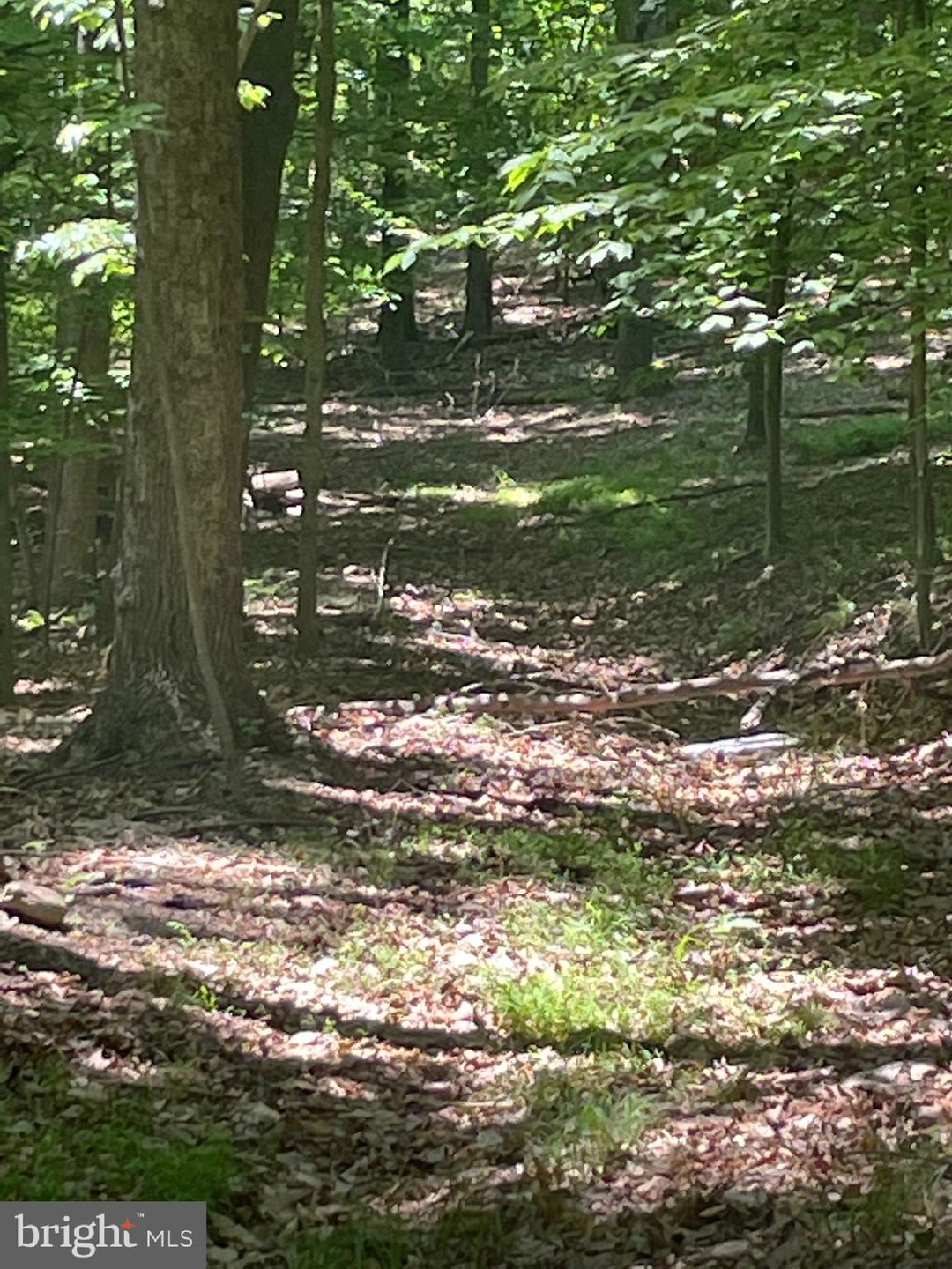 0 Ebenezer Rd unit VACL2001060, Bluemont, VA 20135 - photo 1