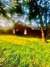 View of grassy yard