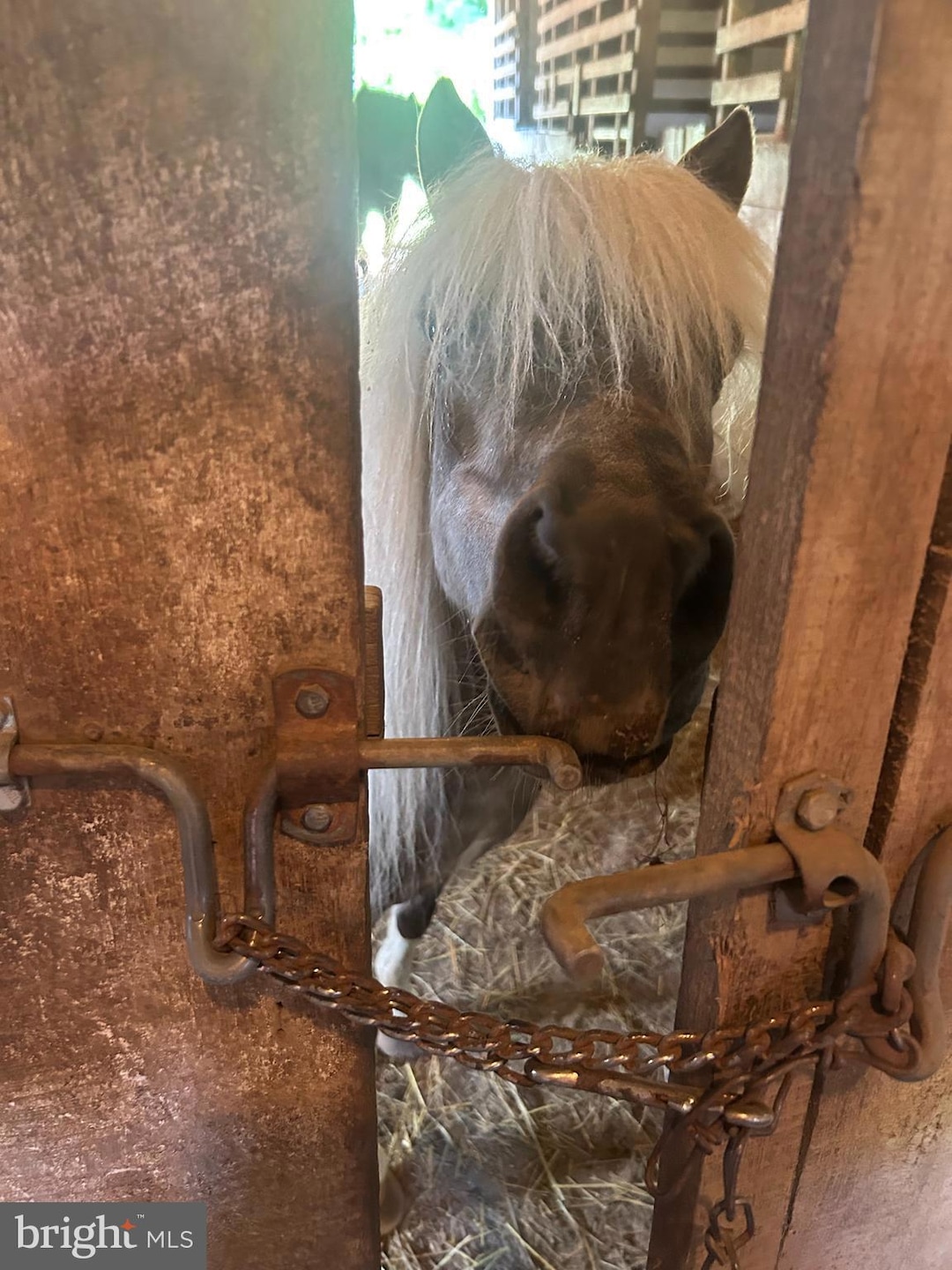 Carousel Image