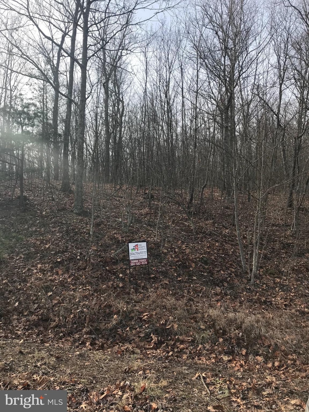 1 Roys Ln, Glengary, WV 25421 - photo 1