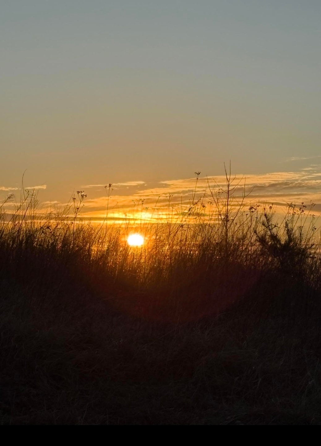 0 Wooldridge Rd, Blue Ridge, VA 24064 - photo 1