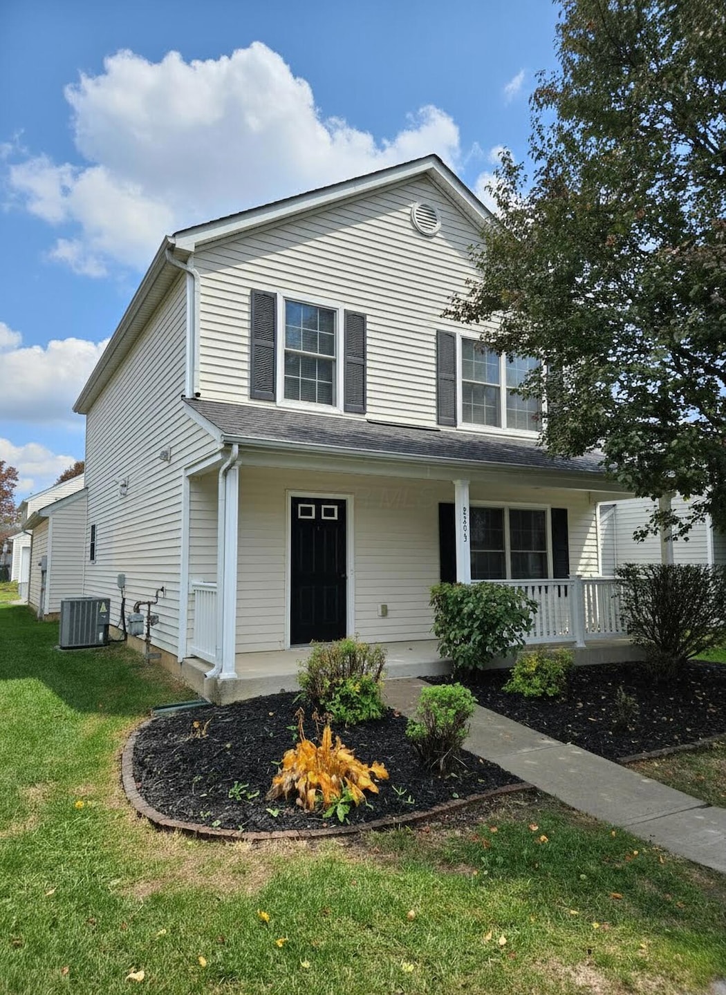 stag_wiz_ST4pBQT1iOnm7PdnaqXS_HD