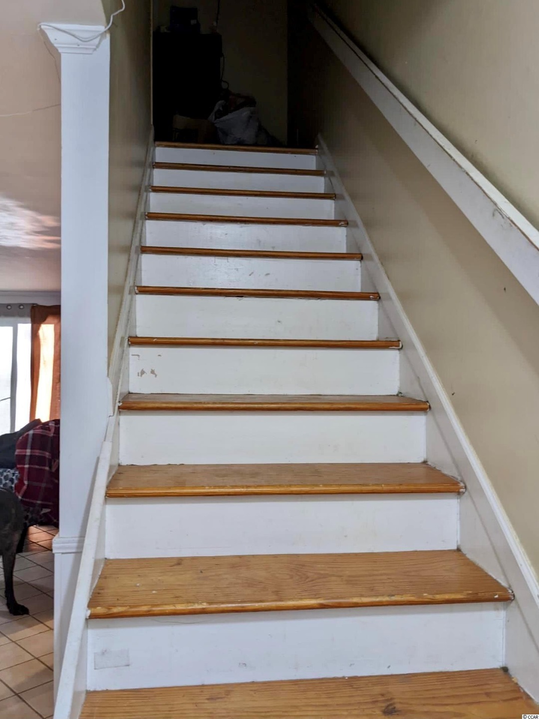 217 N Myrtle St unit 6, Myrtle Beach, SC 29577 - photo 1