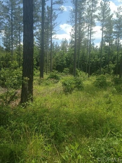 01 Clayton Rd, Powhatan, VA 23139 - photo 1