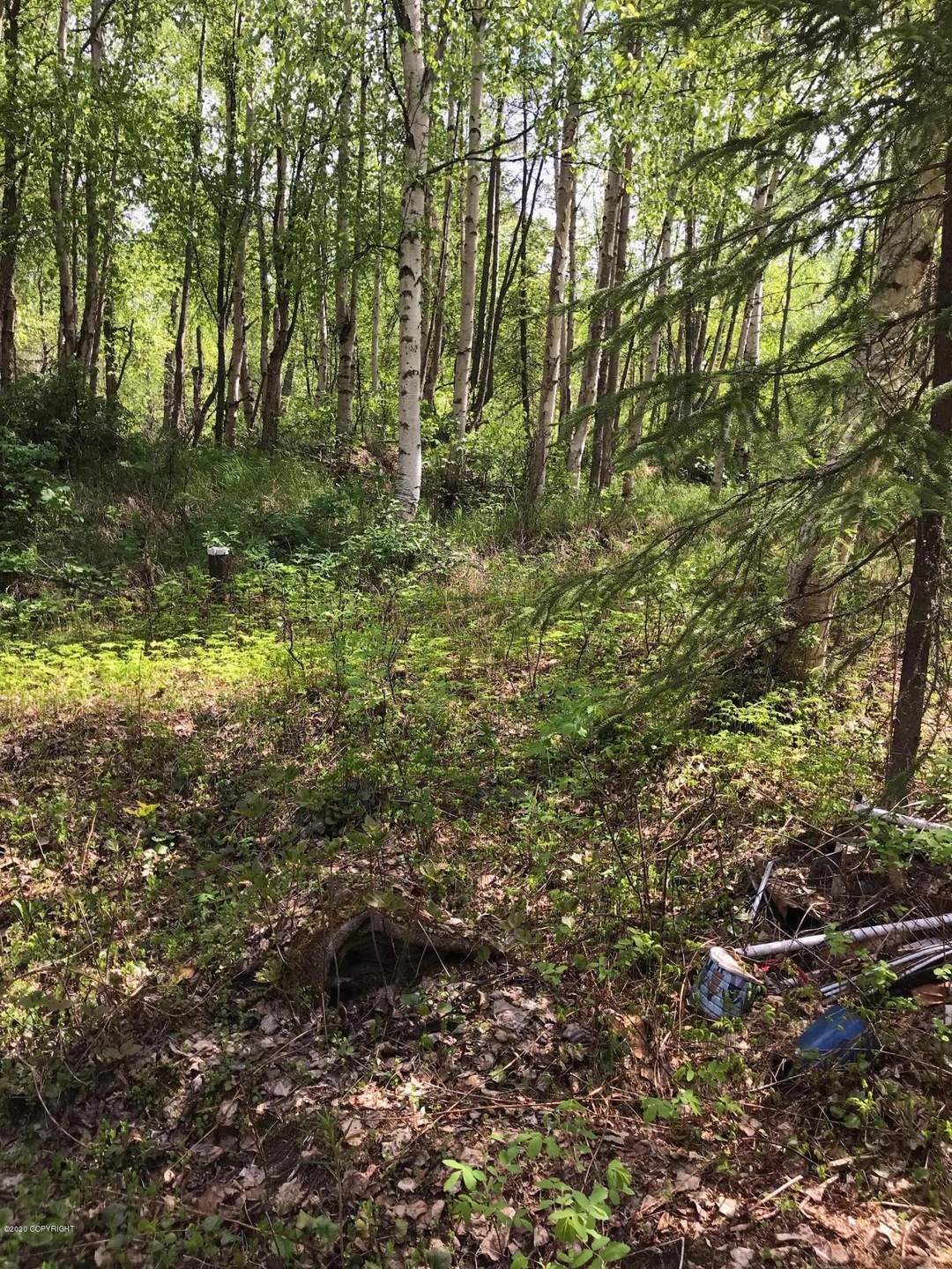 5337 S Whitnni, Wasilla, AK 99654 - photo 1