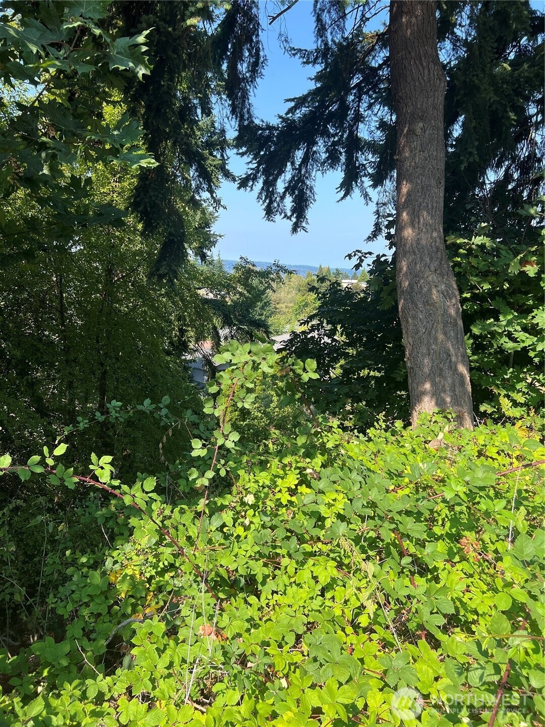 106 Xx MacArthur Ln, Mukilteo, WA 98275 - photo 1