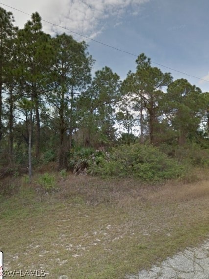 2017 Jefferson Ave, Alva, FL 33920 - photo 1