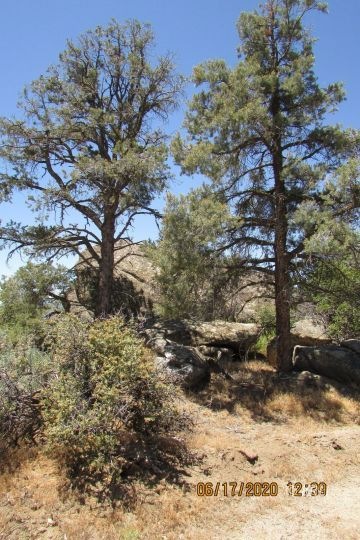 153 Acres Mountain Top Retreat