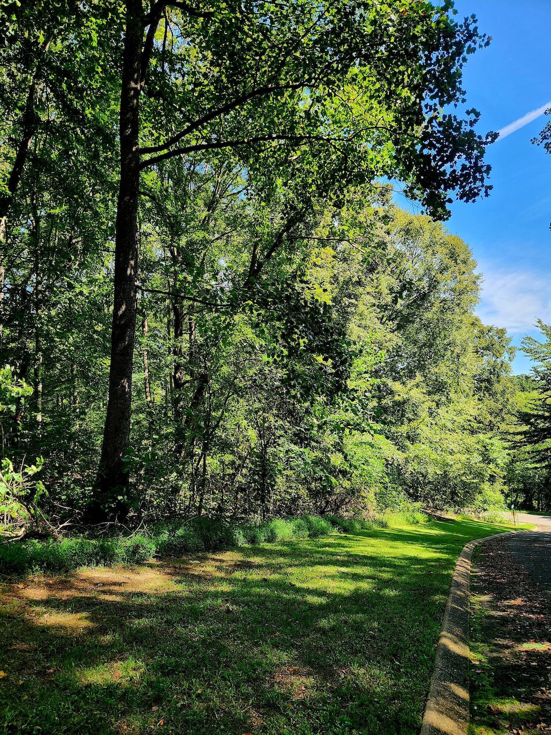 0 Old State Highway 28, Dunlap, TN 37327 - photo 1