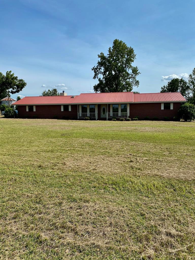 Main View