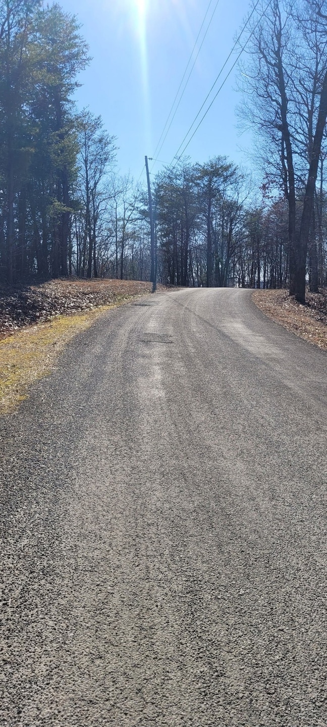 1 Eagle Shore Dr, Dover, TN 37058 - photo 1