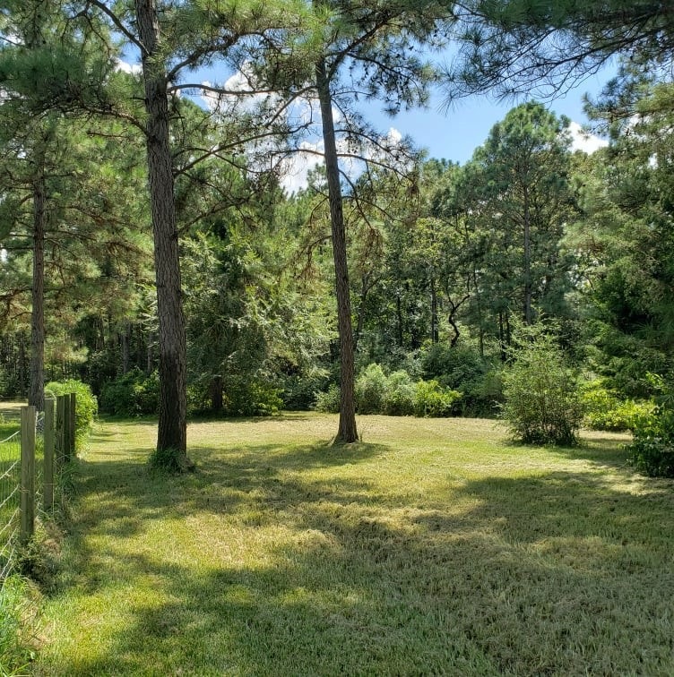 26047 Rolling Forest Ln, Hockley, TX 77447 - photo 1