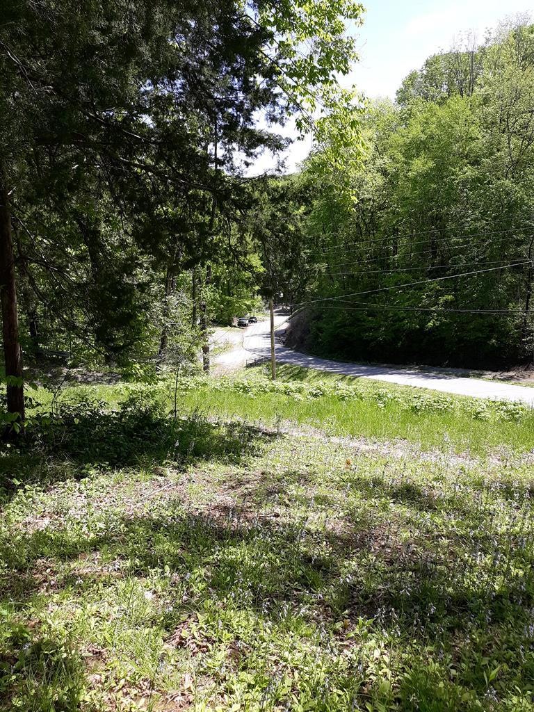 Main View